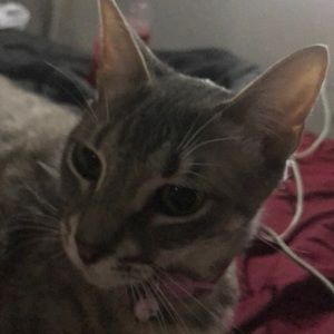 Meet your Posher, Akasha